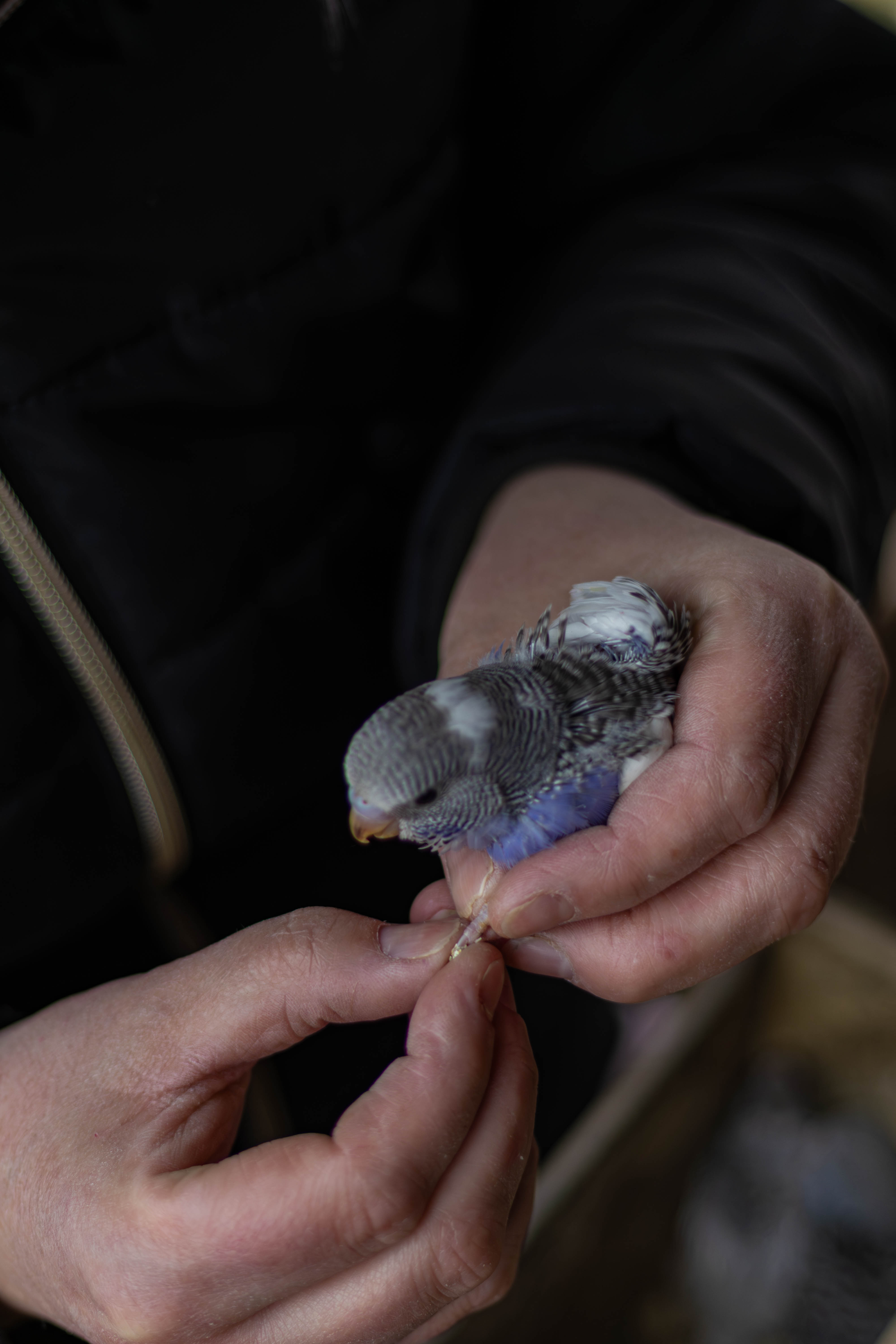 Product gallery • #7